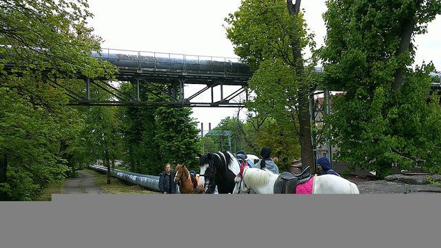 Музей янтаря в Калининграде